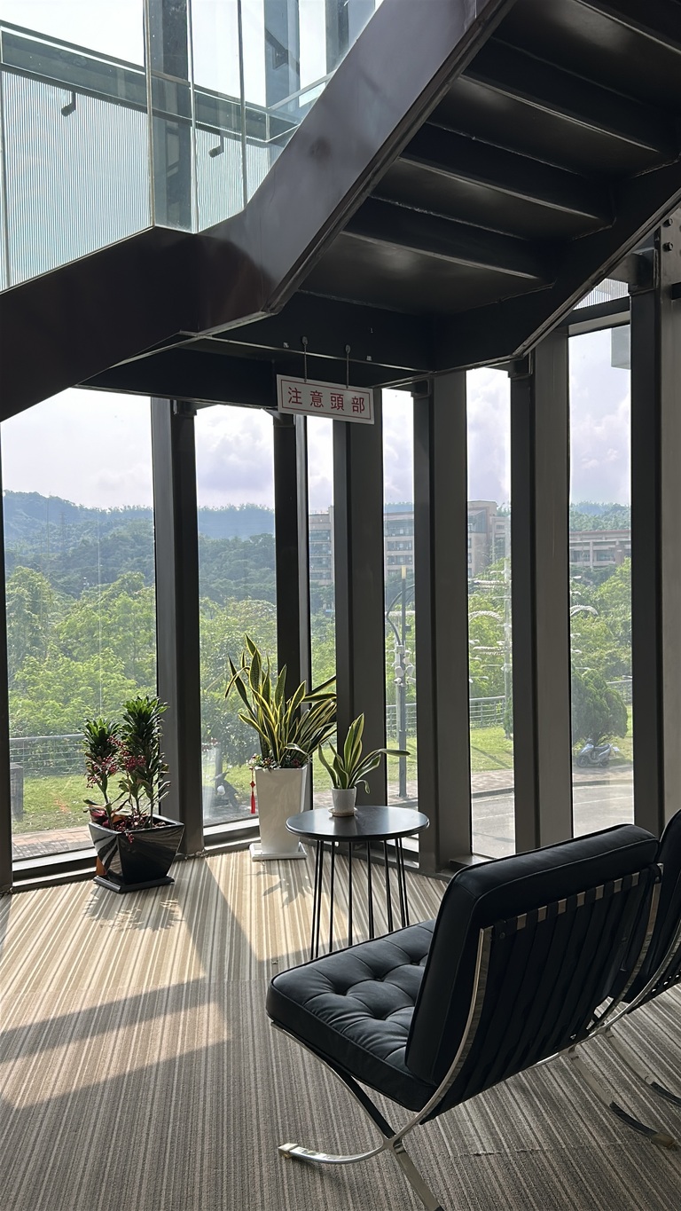 我在圖書館的視覺日記