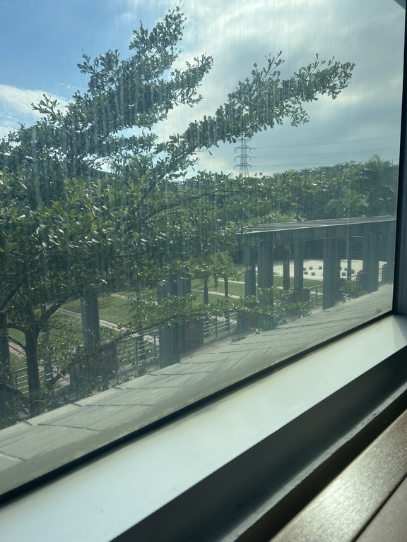 窗邊閱覽桌視角