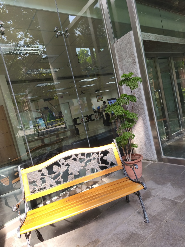 陽光 休息 綠蔭