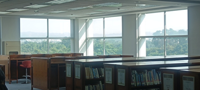 頂樓的樹林風景