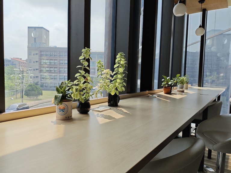 日光下的靜謐角落