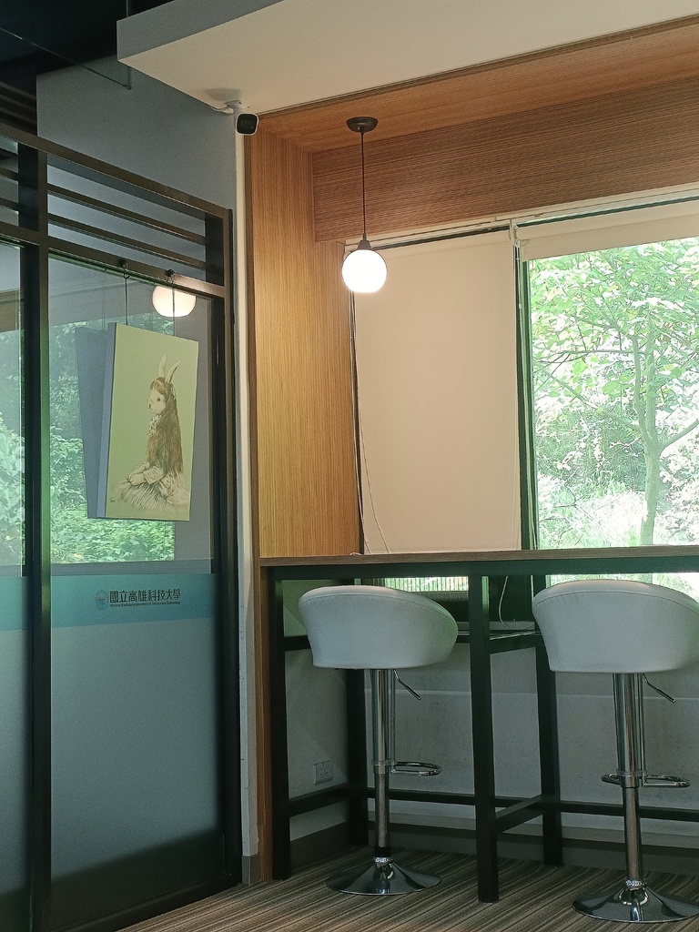 兔子眺望的方向