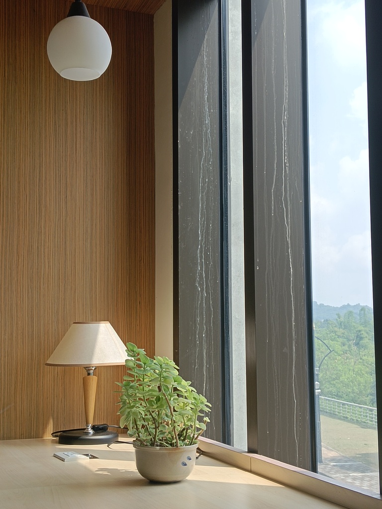 圖書館的綠色小角落